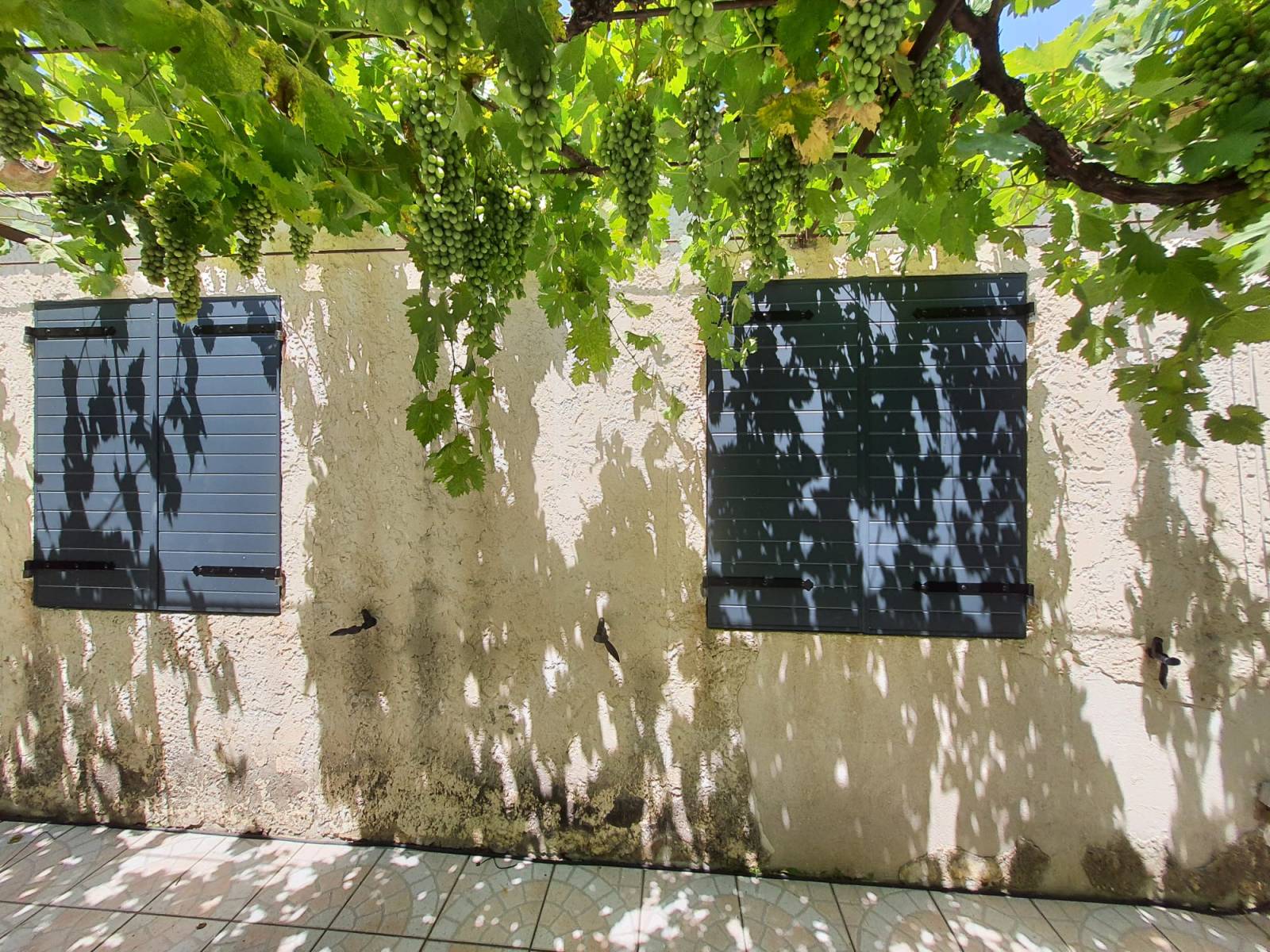 Remplacement de volets bois par des volets en aluminium avec isolant intégré à Carnoux en Provence 13470.