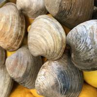 Coquillages Henry vente de coquillages et crustacés à Marseille